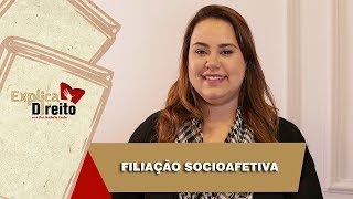 Explica Direito Filiação Socioafetiva  2019 [upl. by Hteik]